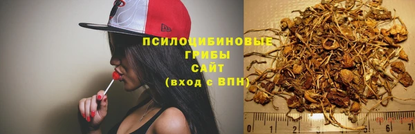 сатива Гусь-Хрустальный