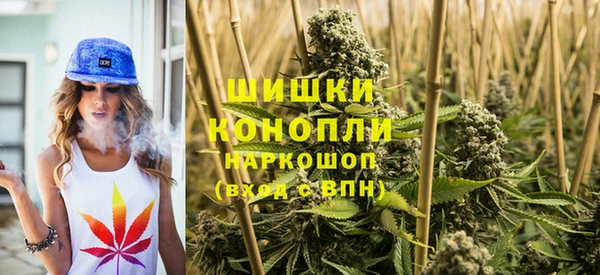 сатива Гусь-Хрустальный