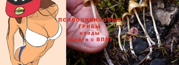 прущая мука Горнозаводск