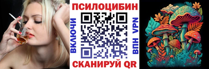 Купить закладки Заводоуковск Псилоцибиновые грибы MAGIC MUSHROOMS
